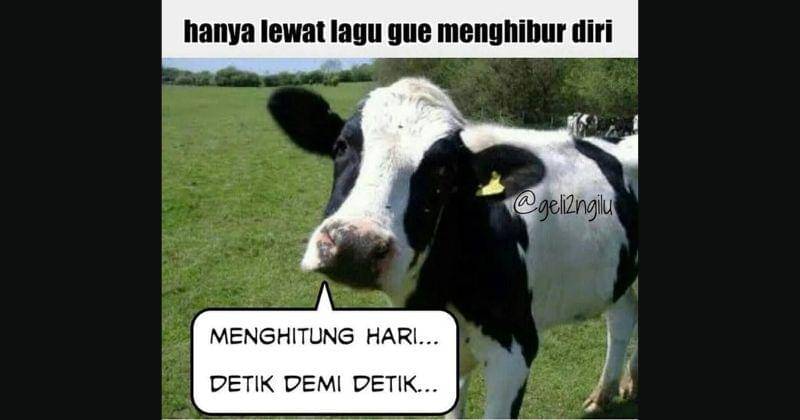 Instagram.com/geli2ngilu